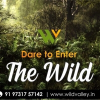 Wild Valley 